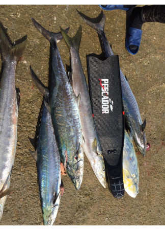 BARBATANAS DE CARBONO PESCADOR