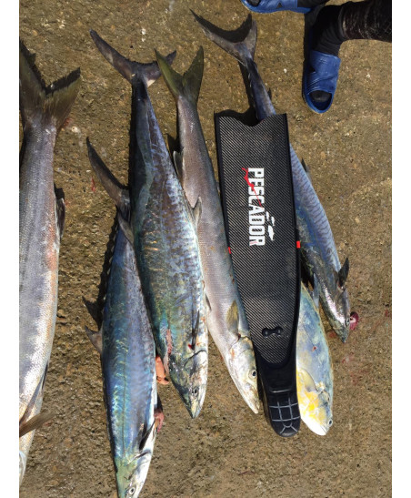 BARBATANAS DE CARBONO PESCADOR