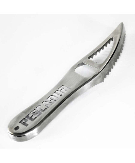Fish scaler