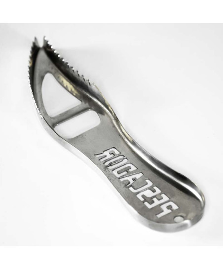 Fish scaler