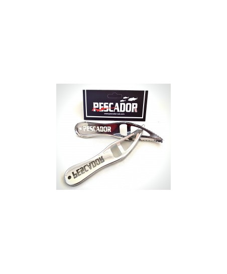 Fish scaler