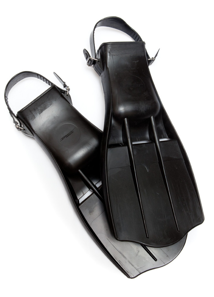 F1 FINS IST