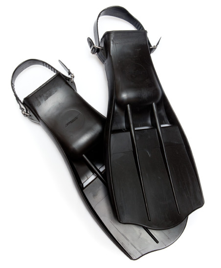 F1 FINS IST