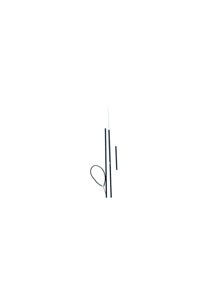 Pole Spear