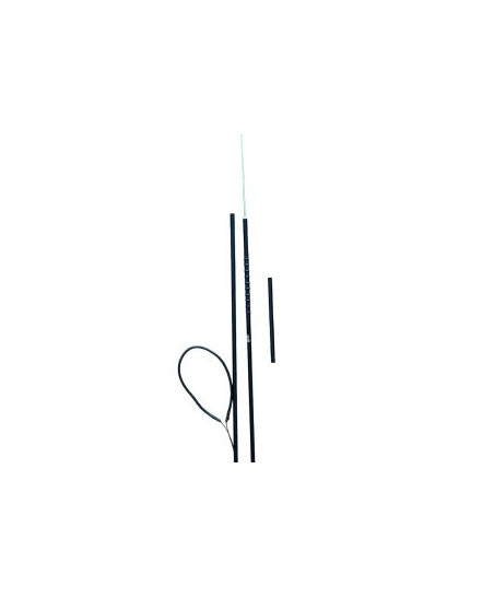 Pole Spear