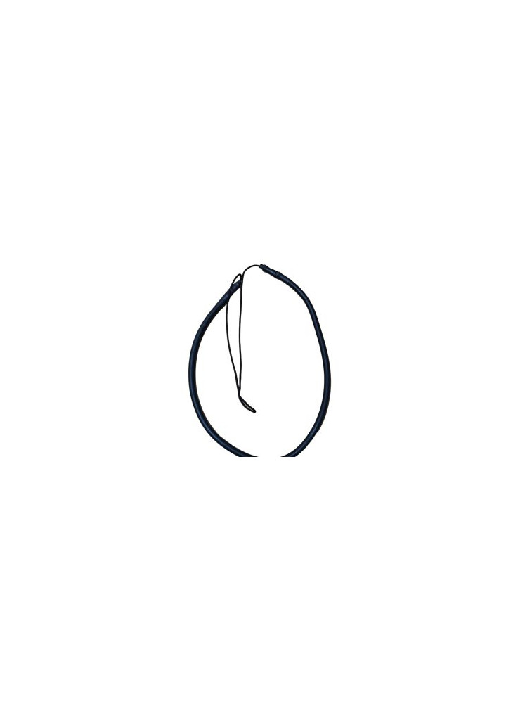 Elástico Pole Spear