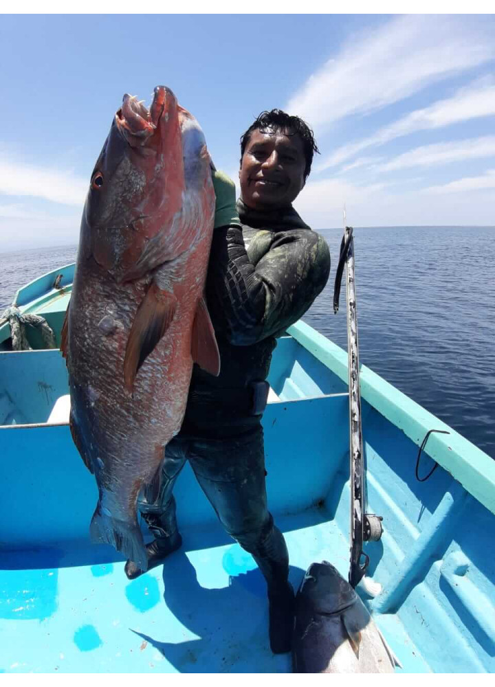 Fato 3mm Fire Green Yamamoto Pescador(Ate 3xl)