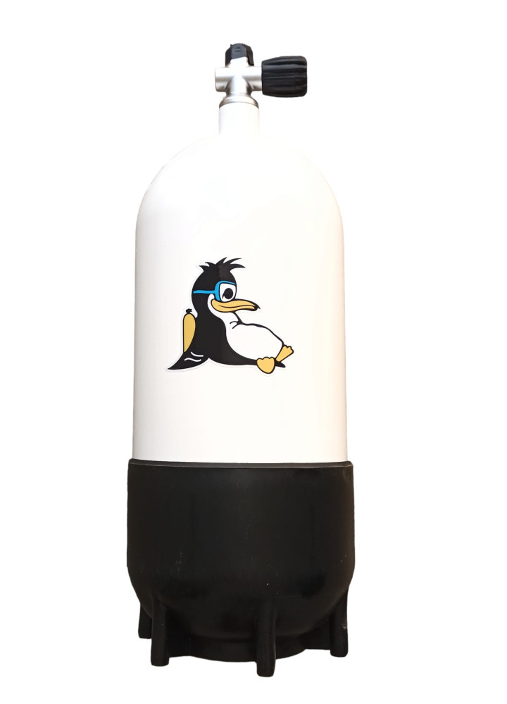 DIP BOTTLE 10LTS / 300BARS STEEL