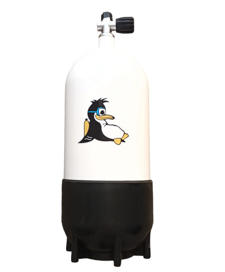 DIP BOTTLE 10LTS / 300BARS STEEL