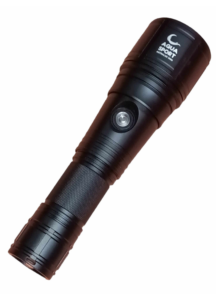 Torch 3000 Lumens 1 Led