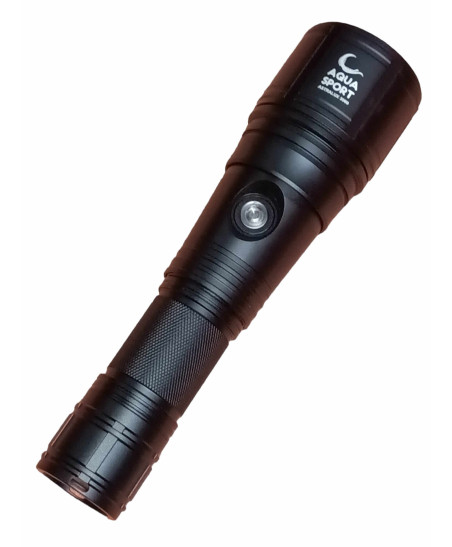 Torch 3000 Lumens 1 Led